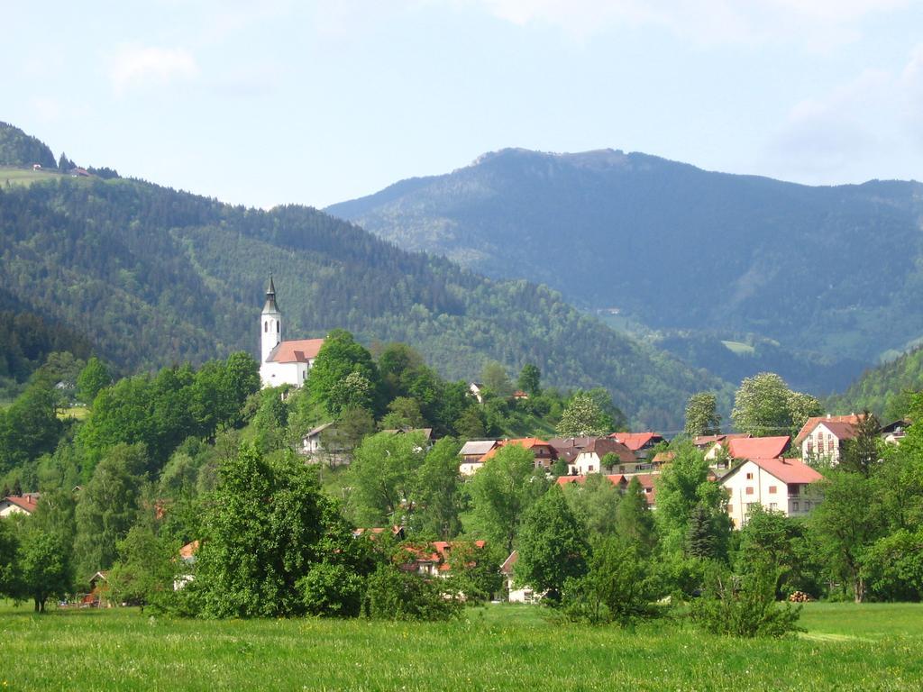 Farm Stay Bukovje Ljubno Exterior photo