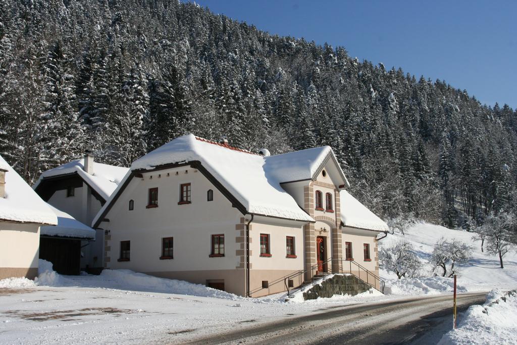 Farm Stay Bukovje Ljubno Exterior photo